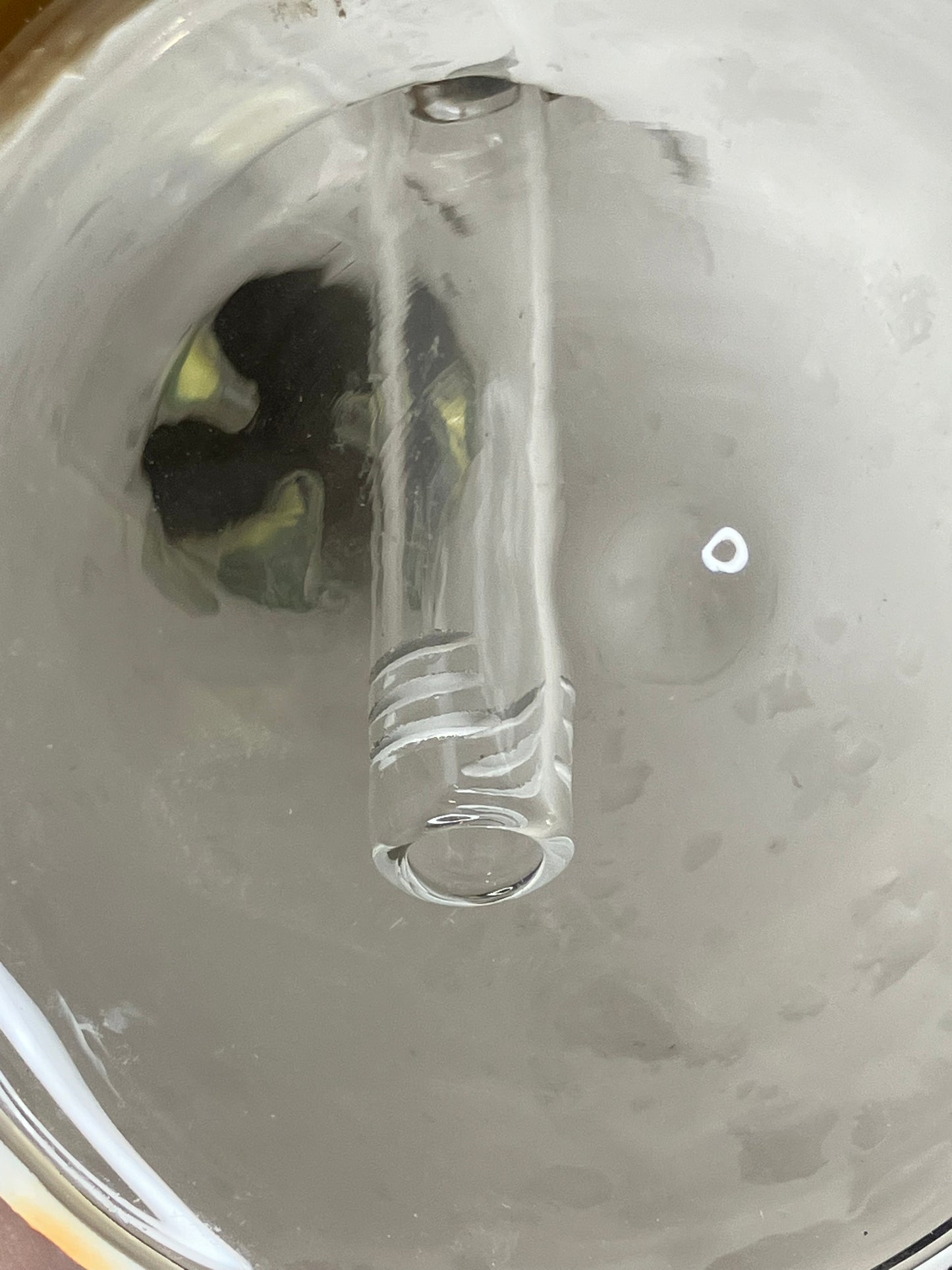 10” 3D Alien Lizard Beaker Bong