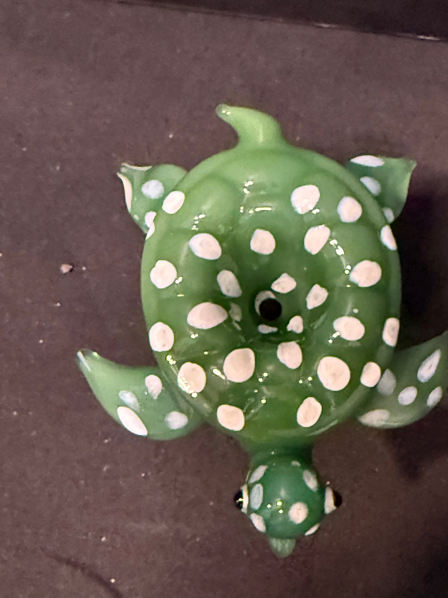 Sea Turtle Herb Slide