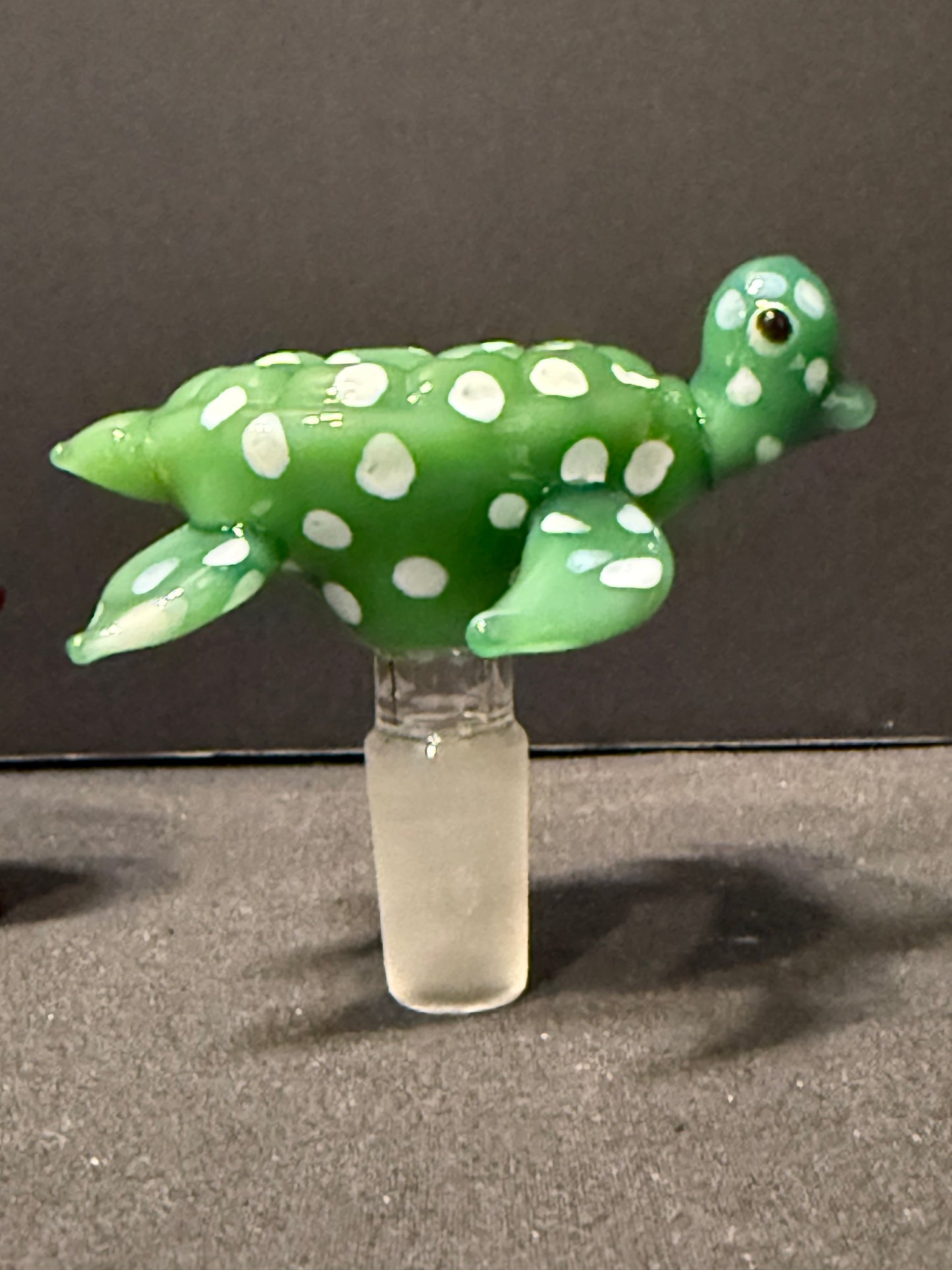 Sea Turtle Herb Slide