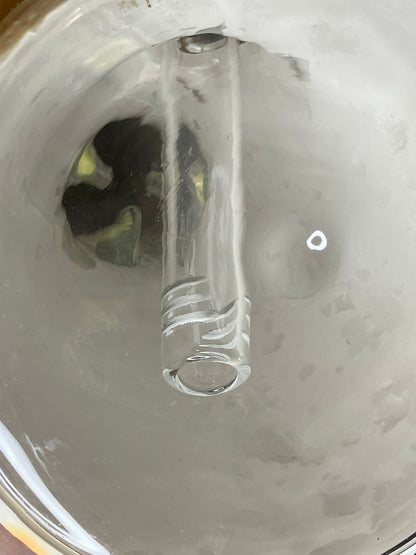 10” 3D Alien Lizard Beaker Bong