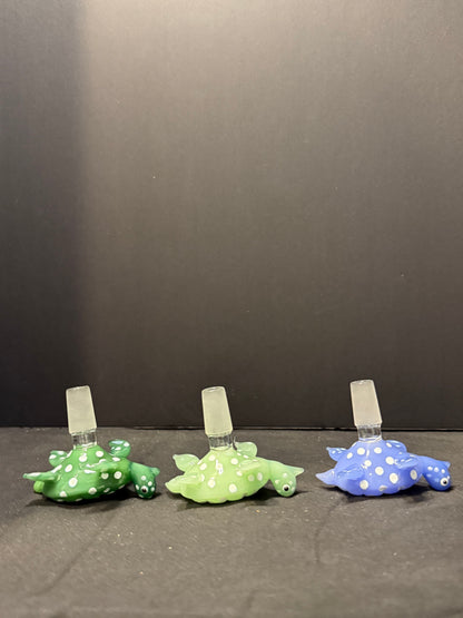 Sea Turtle Herb Slide